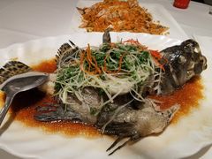 红烧石斑-潮粤香海鲜酒楼(沙湖店)