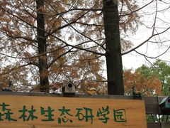 -东平国家森林公园