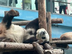 -大连森林动物园