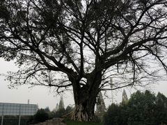-邓小平故里