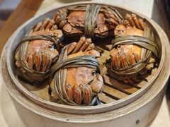 -杨氏青龙虾·羊蝎子(珠江路店)