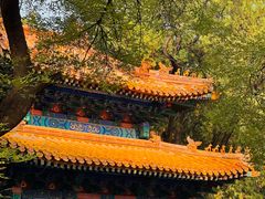 -北京国子监胡同