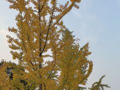 -重庆国际马戏城