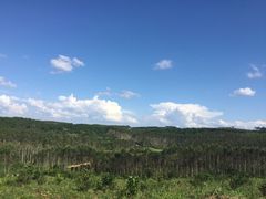 从古至今这些都是免费的-钟山水墨田园