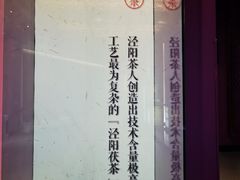 -茯茶镇