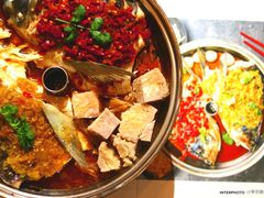 -望湘园湖南菜(赛格店)
