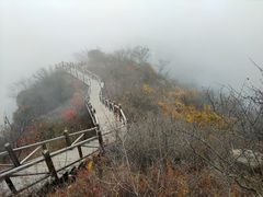 -大岭沟猕猴桃谷风景区
