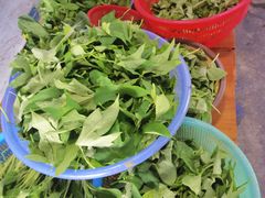 -头塘庄园(农家乐)