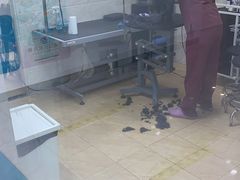 -美联众合动物医院·24h京西诊疗中心