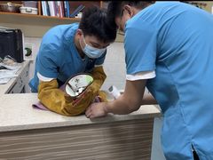 -动物缘宠物医院·骨科·猫科(西二环店)