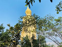 -西双版纳勐泐文化旅游区