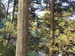 -庐山风景区花径公园