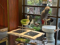 -大宅院(西溪路店)
