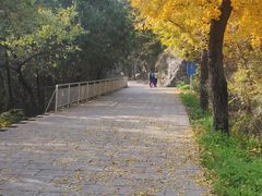 -阳台山自然风景区