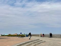 -南汇嘴观海公园