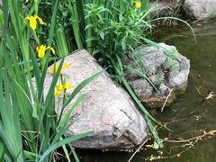 -白塘生态植物园