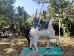 -瑞丽独树成林风景区