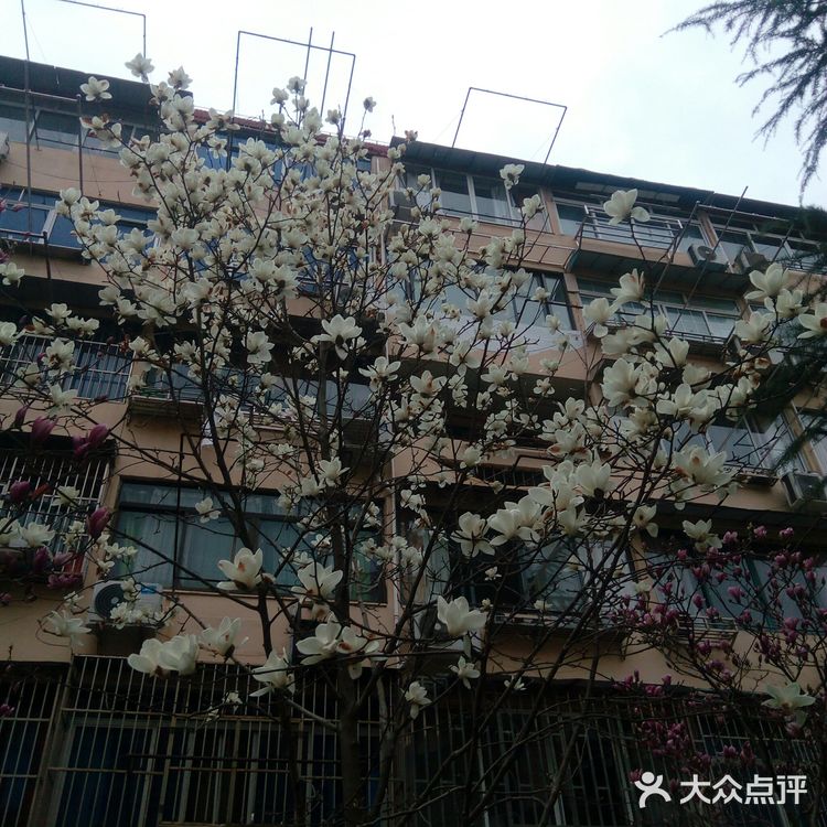 Spring  is  Coming！