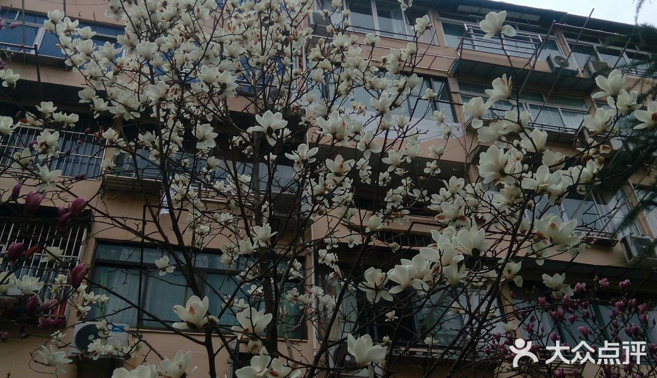 Spring  is  Coming！