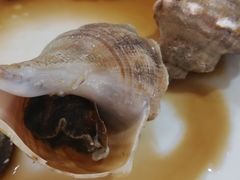 花螺-蚝专家(北滘店)