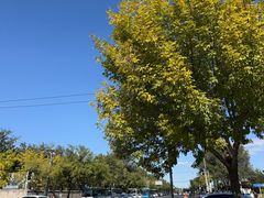 -龙湖星悦荟(颐和店)