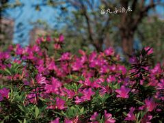 -杭州城北体育公园