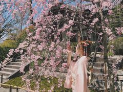 -樱京和服租赁体验(京都总店)
