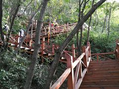 -大岭沟猕猴桃谷风景区