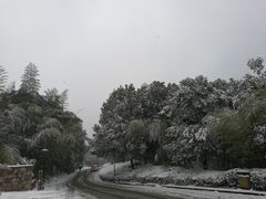 -天目湖涵田半山温泉