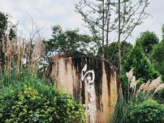 -白鹭湾湿地公园