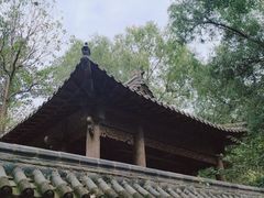 -井塘古村