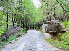 -泰山风景名胜区-普照寺