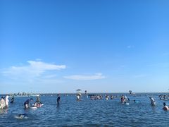 -碧海金沙