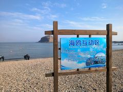 -棒棰岛宾馆景区