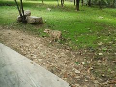 -西安秦岭野生动物园