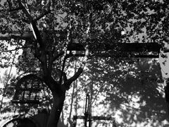 -猫的天空之城概念书店(杭州南宋御街店)