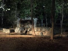 -清迈夜间动物园