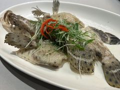 港式清蒸老鼠斑-今轩中餐厅(西安经开洲际酒店)