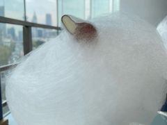 盆栽棉花糖-小大董·烤鸭(观景餐厅·南京西路店)