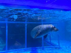 -海合安武汉极地海洋公园