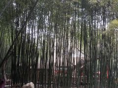 -竹泉村旅游度假区