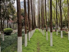 -后襄河公园