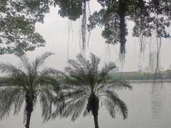 -南宁南湖公园