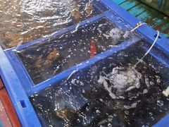 -蓝湾碧波·老字号·疍家非遗海上餐厅