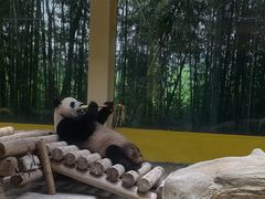 -杭州野生动物世界
