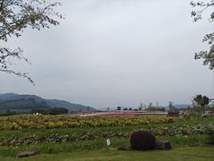 -径山花海