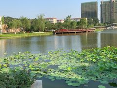 -西海子公园