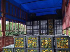 -嘿嘛仓储购(华明店)
