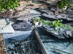-山水茶艺馆·点心粤菜·30年老字号