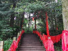 -青城山